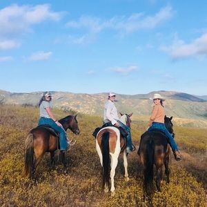 Meet your Posher, Tessa